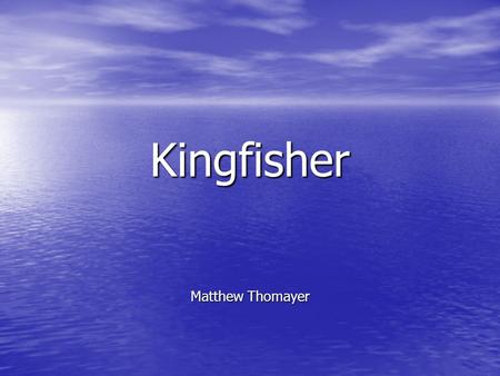 Kingfisher Matthew Thomayer. Kingfisher Trivia How many species of Kingfishers are found in the United States? How many species of Kingfishers are found.