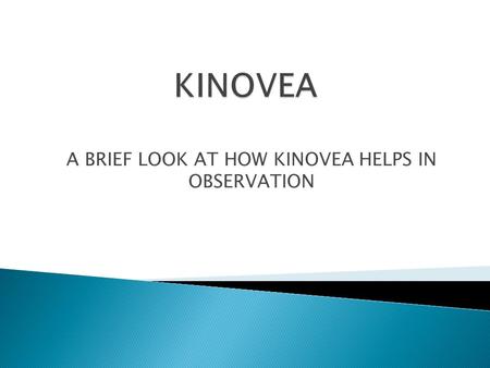 A BRIEF LOOK AT HOW KINOVEA HELPS IN OBSERVATION.