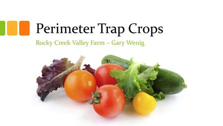 Perimeter Trap Crops Rocky Creek Valley Farm – Gary Wenig.