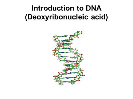 Introduction to DNA (Deoxyribonucleic acid). Questions at the beginning of the 20th Century How do genes work? What are they made of, and how do they.