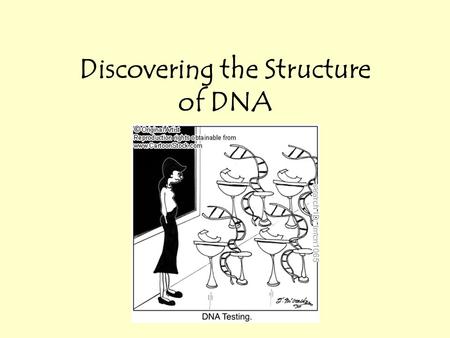 Discovering the Structure of DNA. What is DNA? DNA = deoxyribonucleic acid Stores, transmits and copy all information Located in the cell’s nucleus.