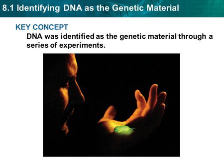 Historical timeline of discovering DNA
