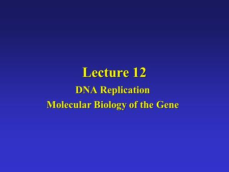Lecture 12 DNA Replication Molecular Biology of the Gene.