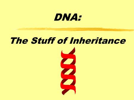 DNA: The Stuff of Inheritance. Finding the Genetic Material zIn the first half of the twentieth century, after biologists began to appreciate Mendel’s.