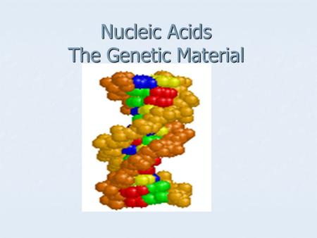 Nucleic Acids The Genetic Material. Two types of Nucleic acids RNA RNA DNA DNA.