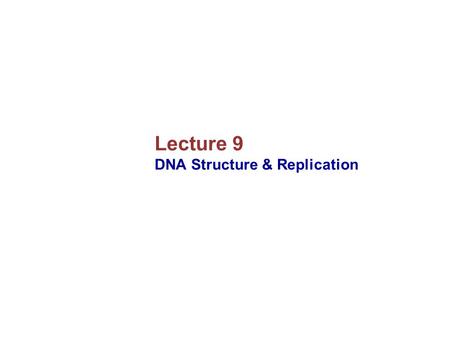 Lecture 9 DNA Structure & Replication. What is a Gene?  Mendel’s work left a key question unanswered:  What is a gene?  The work of Sutton and Morgan.