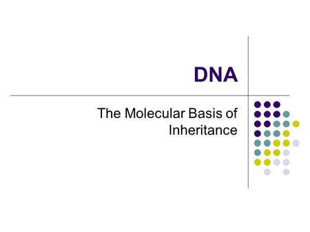 DNA The Molecular Basis of Inheritance. Identifying the Genetic Material 1928 Fredrick Griffith (English Bacteriologist) Trying to find a vaccine for.