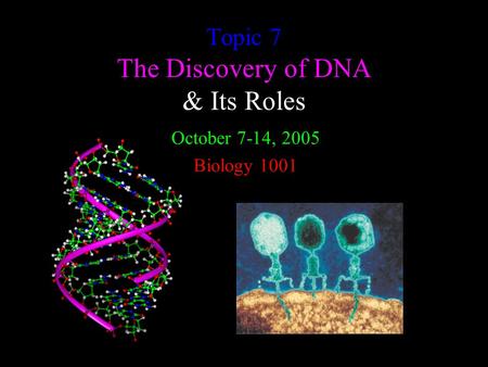 Topic 7 The Discovery of DNA & Its Roles October 7-14, 2005 Biology 1001.