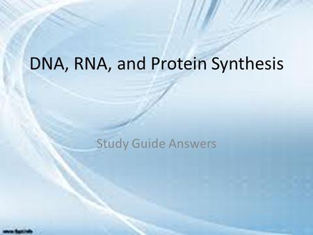 DNA, RNA, and Protein Synthesis