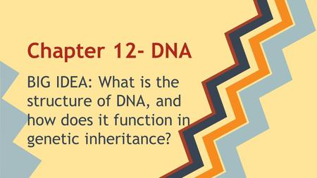 Chapter 12- DNA BIG IDEA: What is the structure of DNA, and how does it function in genetic inheritance?