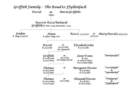 Rees (or Ricci/Richard) Griffiths b. Nov 1704, married c. 1724 Jenkin b. Aug 1723/4/5 Anna b. after Aug 1726 Rees b. 15/1/1728 Mary David b.18/4/1729 m.