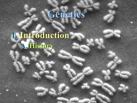 Genetics I. Introduction A. A. History. 1. C. C. Darwin & A. A. Wallace  blending 2. G. G. Mendel & F. F. Unger  mixing 3. W. Sutton  Chromosomal theory.