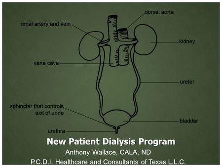 New Patient Dialysis Program Anthony Wallace, CALA, ND P.C.D.I. Healthcare and Consultants of Texas L.L.C.
