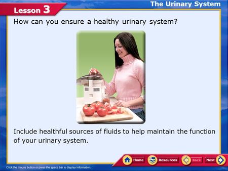 Lesson 3 How can you ensure a healthy urinary system? The Urinary System Include healthful sources of fluids to help maintain the function of your urinary.