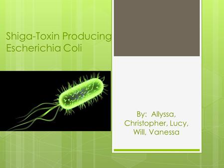 Shiga-Toxin Producing Escherichia Coli By: Allyssa, Christopher, Lucy, Will, Vanessa.