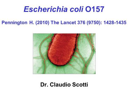 Escherichia coli O157 Pennington H. (2010) The Lancet 376 (9750): 1428-1435 Dr. Claudio Scotti.
