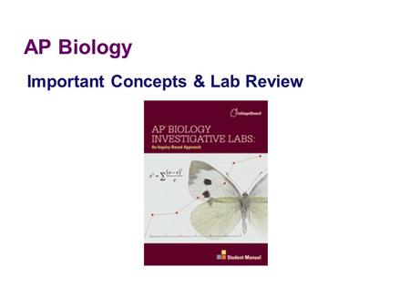 Important Concepts & Lab Review