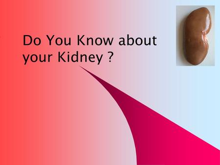 Do You Know about your Kidney ?. Functions of Your Kidneys 1. Excretion of metabolic wastes 2. Balance Water in Body 3. Regulation of extra cellular fluid.