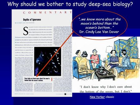 Why should we bother to study deep-sea biology? “..we know more about the moon’s behind than the ocean’s bottom…” Dr. Cindy Lee Van Dover New Yorker classic.