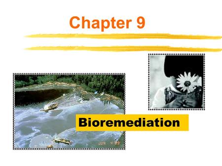 Chapter 9 Bioremediation.