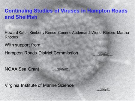 Continuing Studies of Viruses in Hampton Roads and Shellfish Howard Kator, Kimberly Reece, Corinne Audemard, Wendi Ribiero, Martha Rhodes With support.