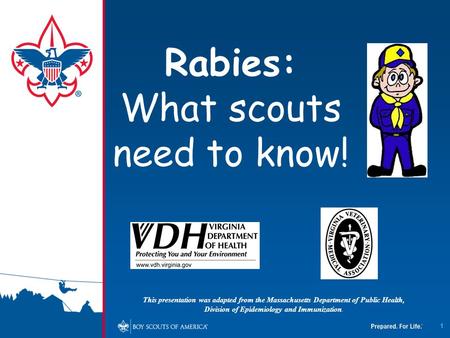 Rabies: What scouts need to know!