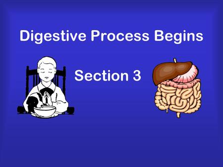 Digestive Process Begins Section 3. Functions of Digestive System Breaks down food into molecules Molecules are absorbed into blood and carried throughout.