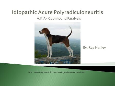By: Ray Hanley A.K.A- Coonhound Paralysis
