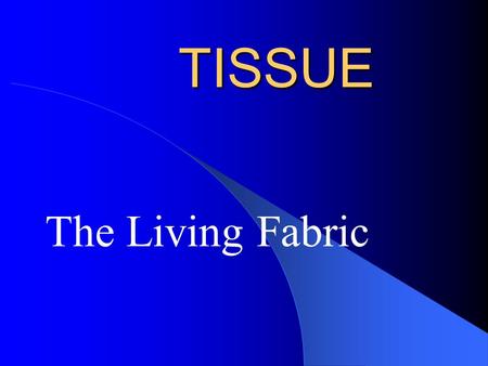 TISSUE The Living Fabric.