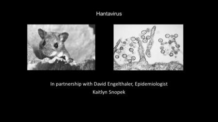 Hantavirus In partnership with David Engelthaler, Epidemiologist Kaitlyn Snopek.