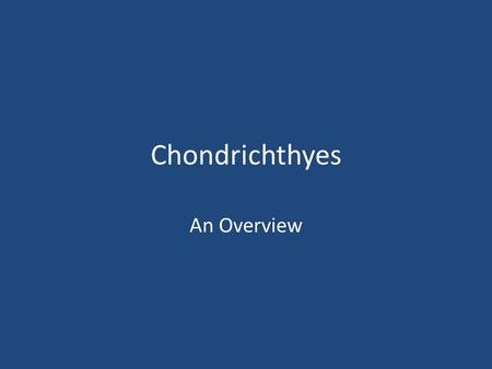 Chondrichthyes An Overview. Chondrichthyes Are jawed cartilaginous fish composed of sharks, skates, and rays They have a skeleton made up of cartilage.