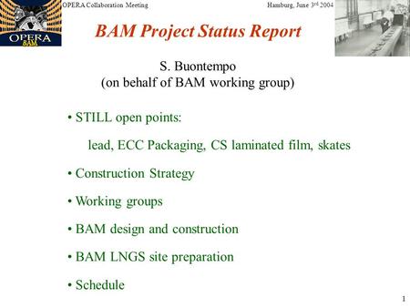1 STILL open points: lead, ECC Packaging, CS laminated film, skates Construction Strategy Working groups BAM design and construction BAM LNGS site preparation.