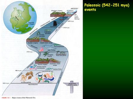 Paleozoic (542-251 mya) events. Late Paleozoic-key things ･ ･ Several key things happen beginning at the end of the Silurian through the Permian - -