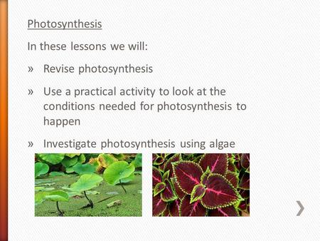 Photosynthesis In these lessons we will: » Revise photosynthesis » Use a practical activity to look at the conditions needed for photosynthesis to happen.