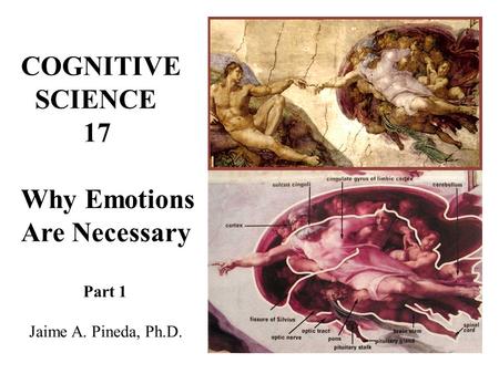 COGNITIVE SCIENCE 17 Why Emotions Are Necessary Jaime A. Pineda, Ph.D.