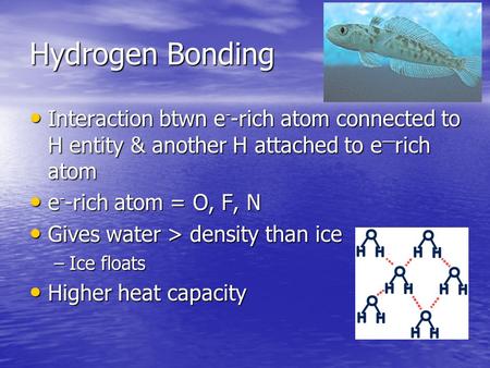 Hydrogen Bonding Interaction btwn e - -rich atom connected to H entity & another H attached to e — rich atom Interaction btwn e - -rich atom connected.