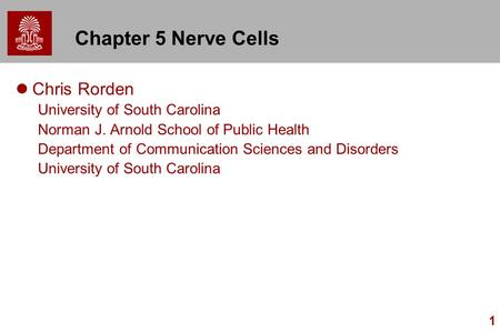 Chapter 5 Nerve Cells Chris Rorden University of South Carolina