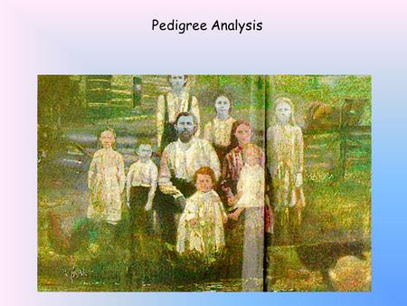 Pedigree Analysis What’s in YOUR family tree? Pedigree Analysis.