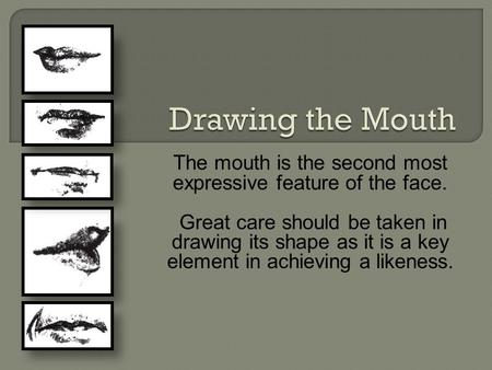 The mouth is the second most expressive feature of the face. Great care should be taken in drawing its shape as it is a key element in achieving a likeness.