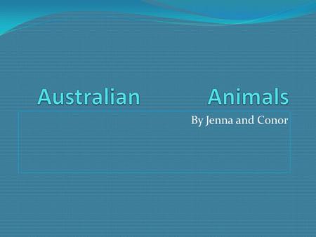 By Jenna and Conor. Kangaroo Kangaroos of different types live in all areas of Australia, from cold-climate areas and desert plains, to tropical rainforests.
