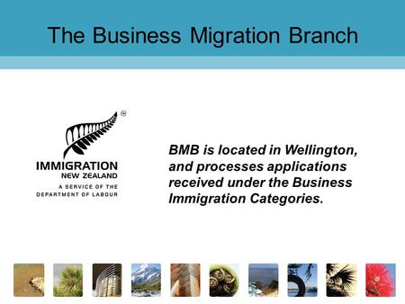 The Business Migration Branch
