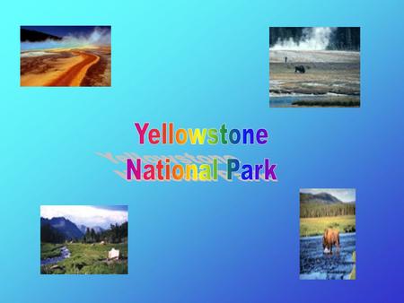 Our First National Park In 1872, U.S. Grant signed a bill making Yellowstone our first national park.