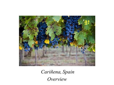 Cariñena, Spain Overview. Wines of Spain †Generating an explosion of new wines, wineries, brands, and regions †During the past decade, the number of designated.