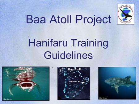 Baa Atoll Project Hanifaru Training Guidelines. Baa Atoll Project Mass Feeding Aggregations of Manta Rays and Whale Sharks at Hanifaru All six resorts.