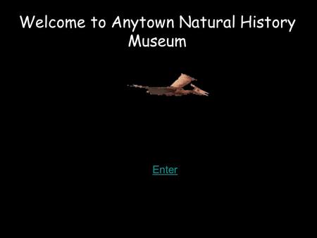 Welcome to Anytown Natural History Museum Enter. 5 6 4 2 Click on the numbers to go to the different galleries Zebra Cafe.