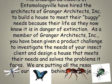 The endangered insects of Entomologyville have hired the architects of Granger Architects, Inc. to build a house to meet their “buggy” needs because their.