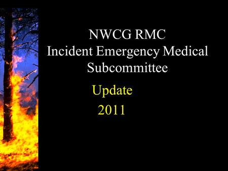 NWCG RMC Incident Emergency Medical Subcommittee
