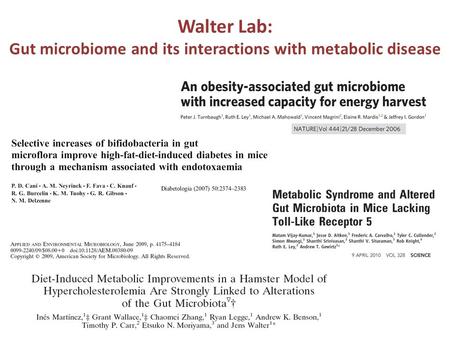 Walter Lab: Gut microbiome and its interactions with metabolic disease