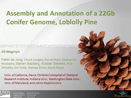 Assembly and Annotation of a 22Gb Conifer Genome, Loblolly Pine Jill Wegrzyn Pieter de Jong, Chuck Langley, Dorrie Main, Keithanne Mockaitis, Steven Salzberg,
