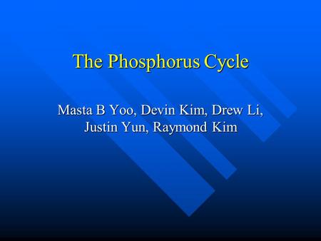 The Phosphorus Cycle Masta B Yoo, Devin Kim, Drew Li, Justin Yun, Raymond Kim.